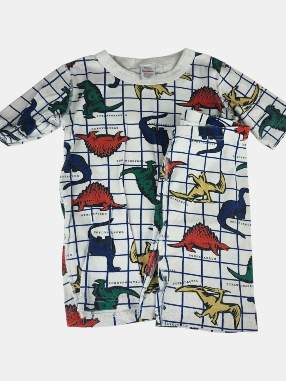 Hanna Andersson Pajama Set with Red Green Blue Yellow Dinosaurs